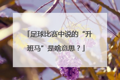 足球比赛中说的“升班马”是啥意思？