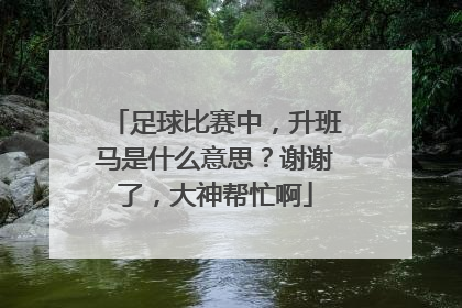 足球比赛中，升班马是什么意思？谢谢了，大神帮忙啊