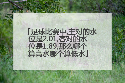 足球比赛中,主对的水位是2.01,客对的水位是1.89,那么哪个算高水哪个算低水