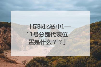 足球比赛中1—11号分别代表位置是什么？？