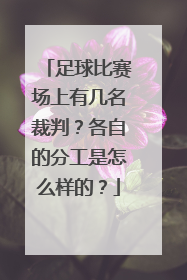 足球比赛场上有几名裁判？各自的分工是怎么样的？