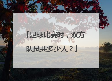 足球比赛时，双方队员共多少人？