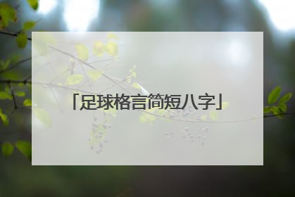 「足球格言简短八字」羽毛球格言简短八字