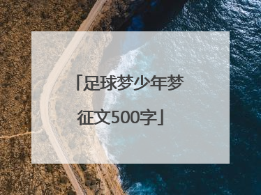 足球梦少年梦征文500字