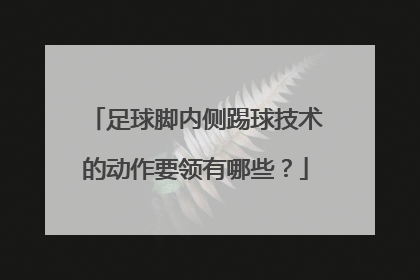 足球脚内侧踢球技术的动作要领有哪些？