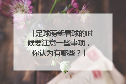 足球萌新看球的时候要注意一些事项，你认为有哪些？