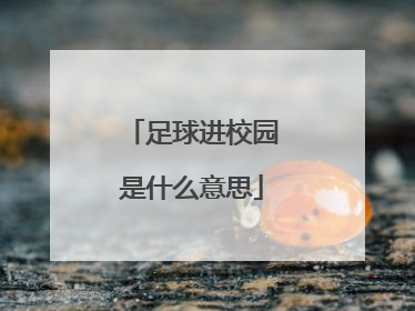 足球进校园是什么意思