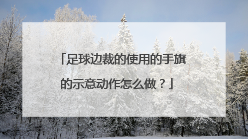 足球边裁的使用的手旗的示意动作怎么做？