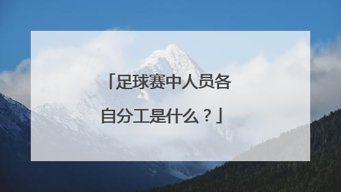 足球赛中人员各自分工是什么？