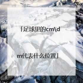 足球里的cm\dm代表什么位置