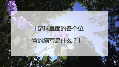 足球里面的各个位置的缩写是什么？