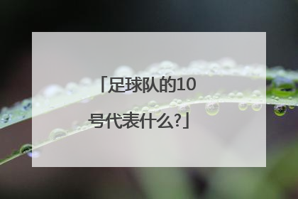 足球队的10号代表什么?