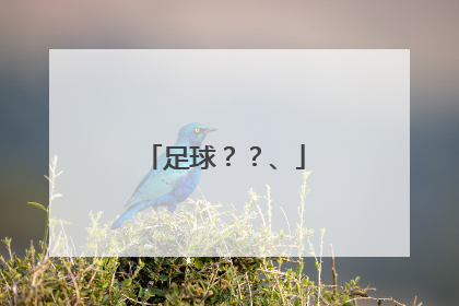 足球？？、