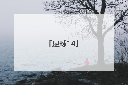 「足球14」足球14场胜负彩