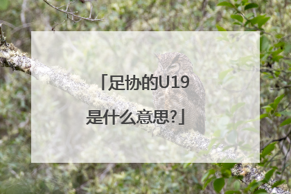 足协的U19是什么意思?