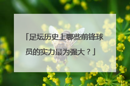 足坛历史上哪些前锋球员的实力最为强大？