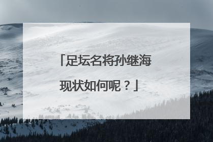 足坛名将孙继海现状如何呢？