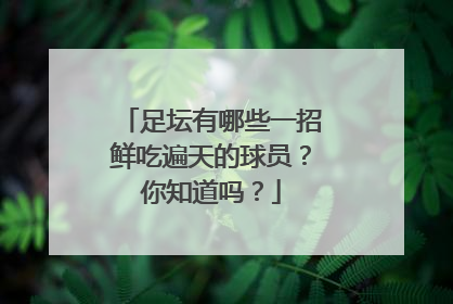 足坛有哪些一招鲜吃遍天的球员？你知道吗？