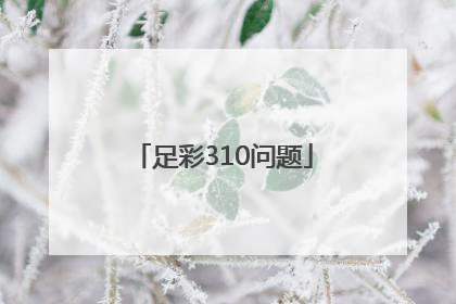 足彩310问题