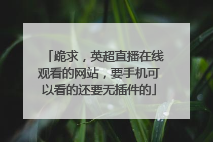 跪求，英超直播在线观看的网站，要手机可以看的还要无插件的