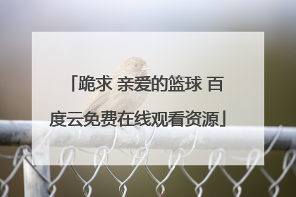 跪求 亲爱的篮球 百度云免费在线观看资源