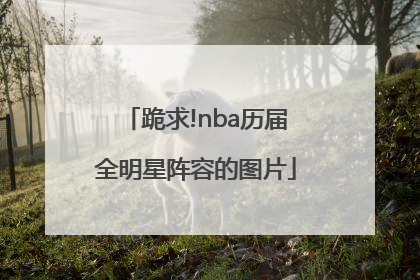 跪求!nba历届全明星阵容的图片