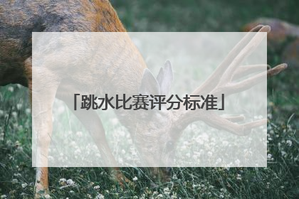 跳水比赛评分标准