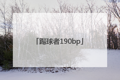 「踢球者190bp」踢球者张智