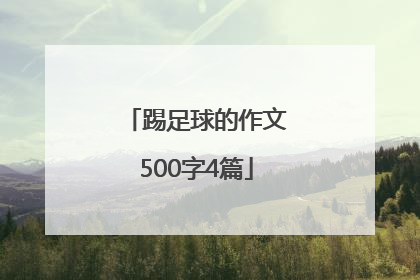 踢足球的作文500字4篇