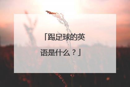 踢足球的英语是什么？