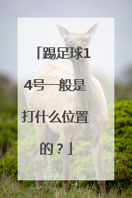 踢足球14号一般是打什么位置的？