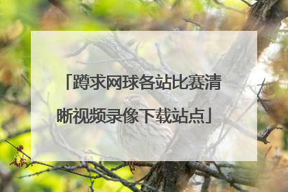 蹲求网球各站比赛清晰视频录像下载站点