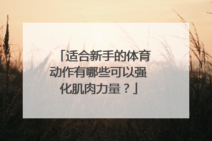 适合新手的体育动作有哪些可以强化肌肉力量？