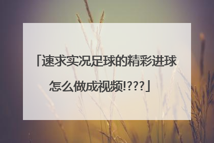 速求实况足球的精彩进球怎么做成视频!???