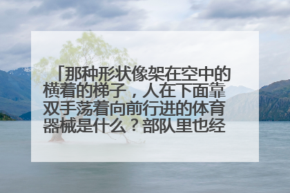 那种形状像架在空中的横着的梯子，人在下面靠双手荡着向前行进的体育器械是什么？部队里也经常见到，有的