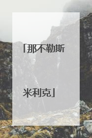 「那不勒斯米利克」那不勒斯前锋米利克