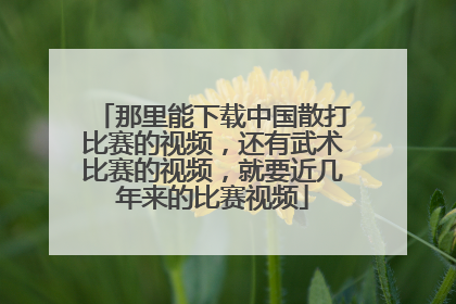 那里能下载中国散打比赛的视频，还有武术比赛的视频，就要近几年来的比赛视频