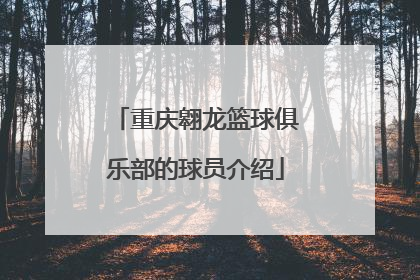 重庆翱龙篮球俱乐部的球员介绍