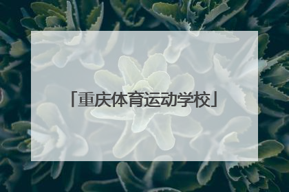 「重庆体育运动学校」四川省体育运动学校