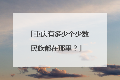 重庆有多少个少数民族都在那里？