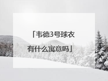 韦德3号球衣有什么寓意吗