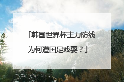 韩国世界杯主力防线为何遭国足戏耍？