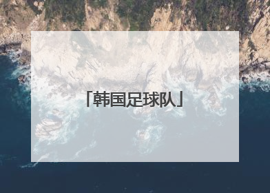 「韩国足球队」韩国足球队前国脚安贞焕曾效力于中超的哪支球队?