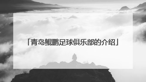 青岛鲲鹏足球俱乐部的介绍