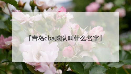 青岛cba球队叫什么名字