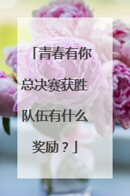 青春有你总决赛获胜队伍有什么奖励？