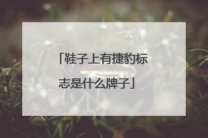 鞋子上有捷豹标志是什么牌子