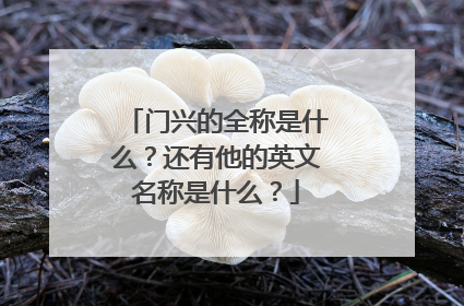 门兴的全称是什么？还有他的英文名称是什么？