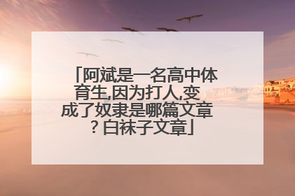 阿斌是一名高中体育生,因为打人,变成了奴隶是哪篇文章？白袜子文章