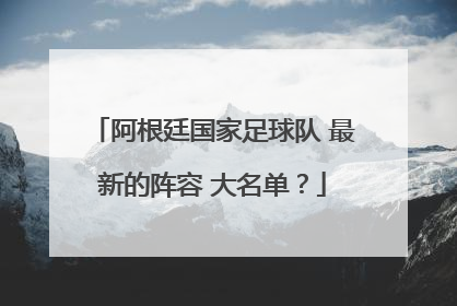 阿根廷国家足球队 最新的阵容 大名单？